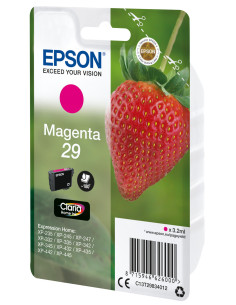 29 MAGENTA 2