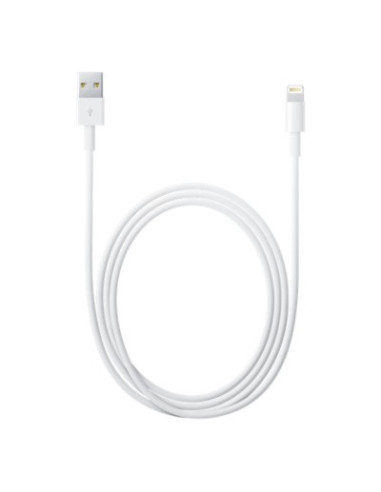 2,00 mt Cavo Apple Lightning / USB