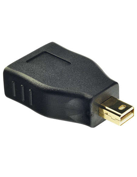 Adattatore Mini Display Port - Display Port Adattatore Mini Display Port - Display Port