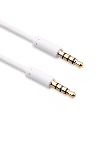 1,00 mt Cavo Audio Jack 3.5mm M/M Nero