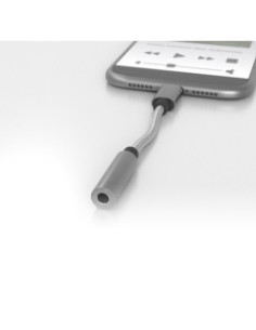 Adattatore USB-C / Jack 3,5mm 2
