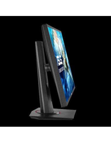 24" VG248QG Gaming Monitor 0,5ms 165Hz FHD GSync FreeSync