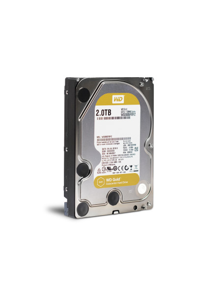 2TB WD Gold 7200 Giri/min 2TB WD Gold 7200 Giri/min