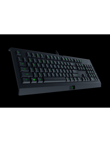 Cynosa Lite RGB Chroma, Tasti Programmabili, Membrane Lite,