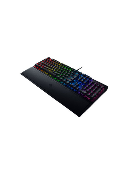 BlackWidow V3 Green Switch Tastiera Gaming Illuminazione-Chroma-RGB, Rotella Digitale Multi-Funzione e Tasti Multimediali, Pogg