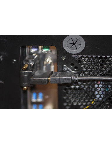DVI (24+1) maschio - HDMI femmina, inclinabile e routabile, Nero