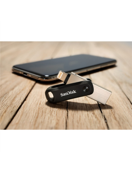 256GB iXpand  USB Type-A / Lightning 3.2 Gen 2 (3.1 Gen 2) Nero, Argento