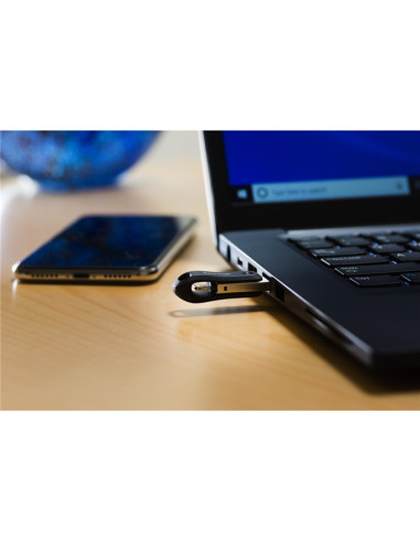 256GB iXpand  USB Type-A / Lightning 3.2 Gen 2 (3.1 Gen 2) Nero, Argento
