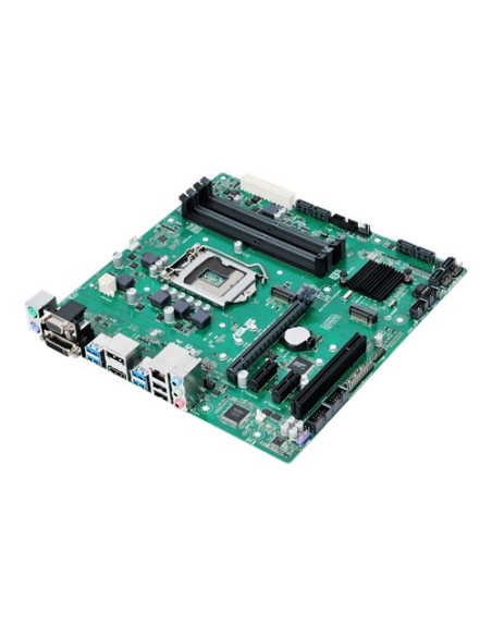 B250M-C Prime mATX M.2 DDR4