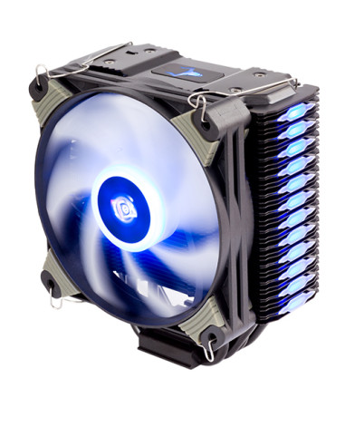 Taurus Belzer RGB
