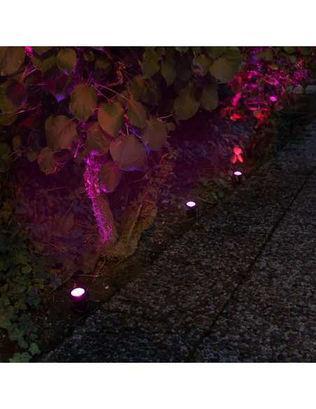 Waterproof Solar Garden LED Light
