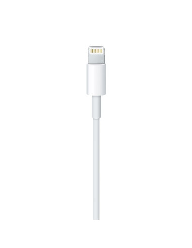 2,00 mt Cavo Apple Lightning / USB