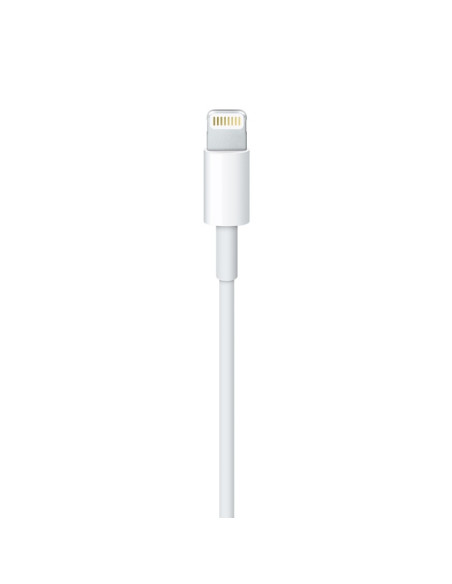 2,00 mt Cavo Apple Lightning / USB