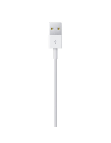 2,00 mt Cavo Apple Lightning / USB