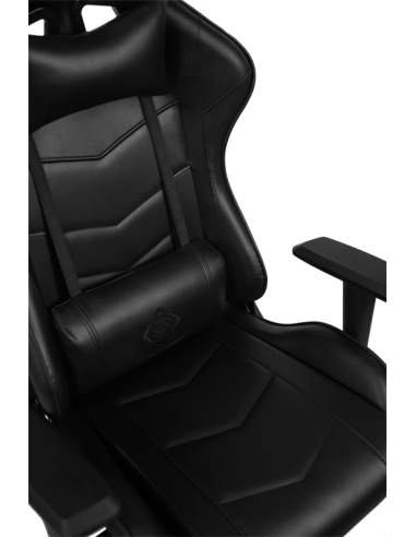 Gaming Chair DC210 ergonomica, ecopelle, black, doppio cuscinetto nuca-schiena