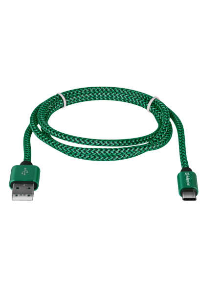 1,00 mt USB - USB-C, VERDE 1,00 mt USB - USB-C, VERDE